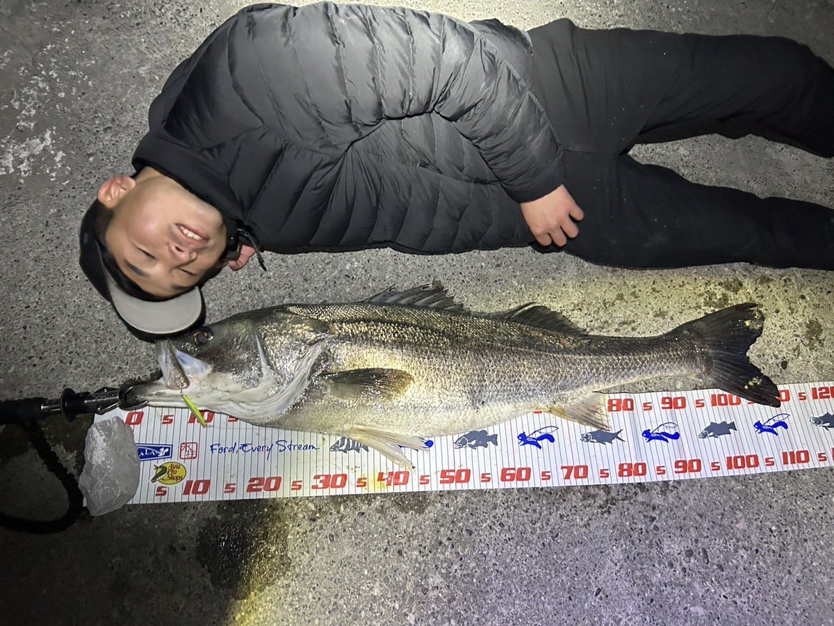y70387013's tweet photo. 高知に釣り移住して4年目。
浦戸湾ドリーム👑🥺
タイリクスズキ　111cm (9.5kg)

ブラックレーベル64L
24ルビアスLT2000H
DUEL0.6
フロロリミテッド14lb
アルデンテ70s https://t.co/yRT6xrTMp9