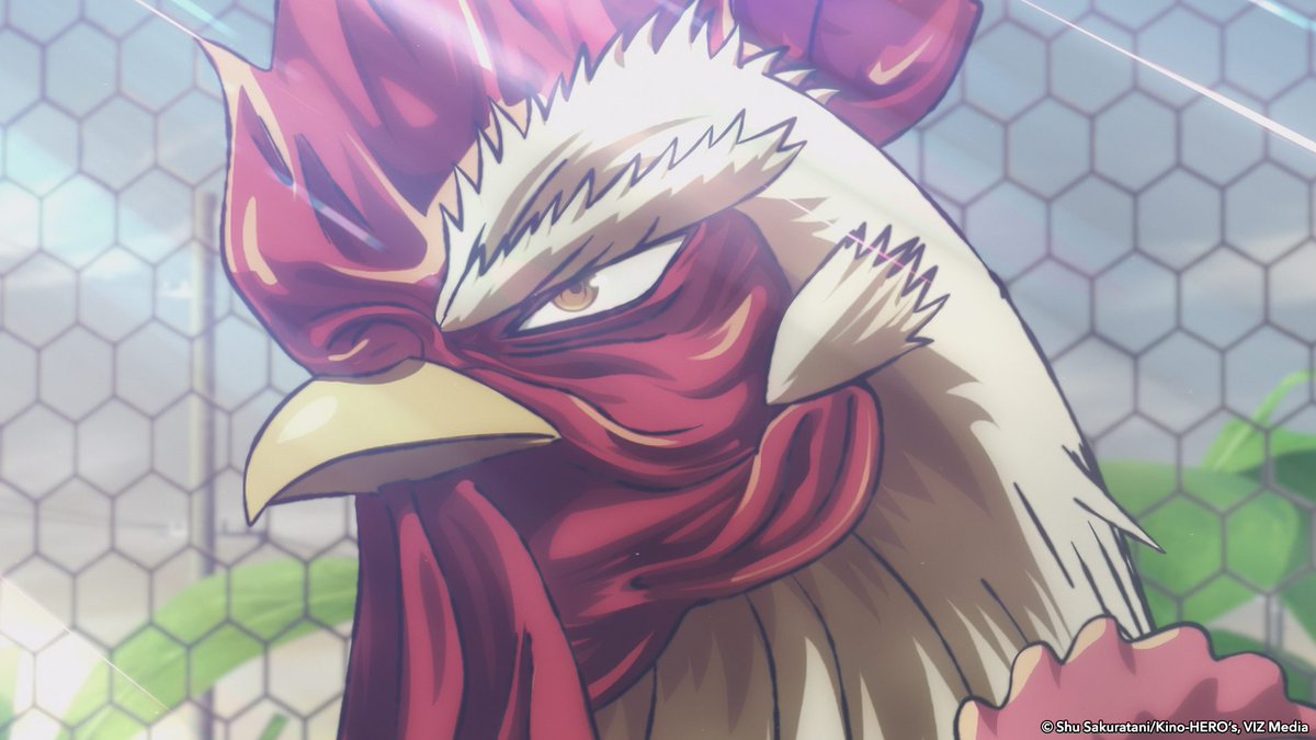 So close you can almost feel it. 🐓

Rooster Fighter streams on March 15th on Hulu and <a href="/DisneyPlus/">Disney+</a>.