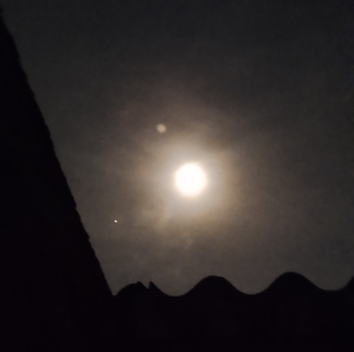 ✧𝑃𝑙𝑎𝑦𝑒𝑟✧ tweet media