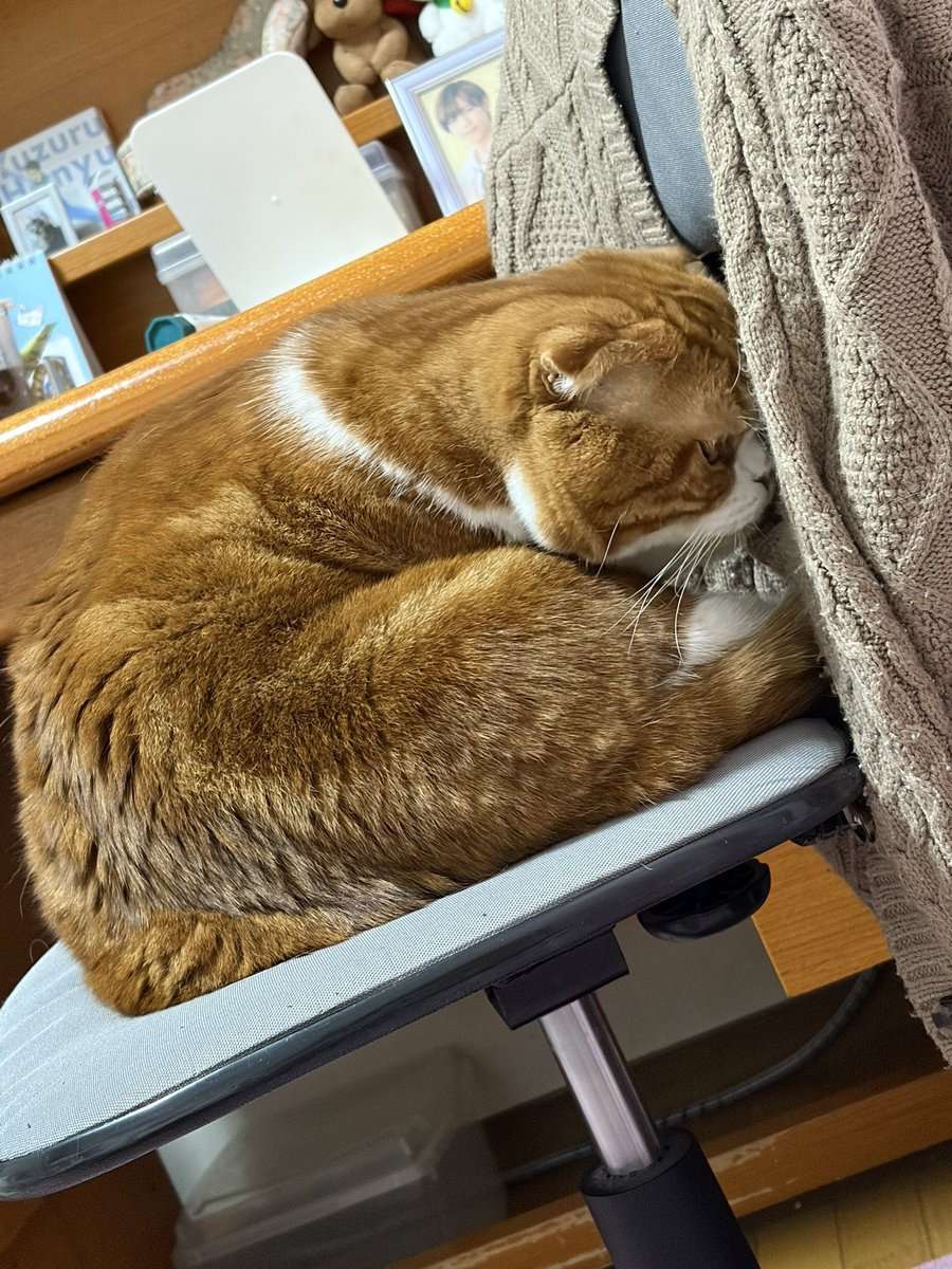 私のイスにかけてあるカーディガン、なんか匂いする？？ 気になるよう