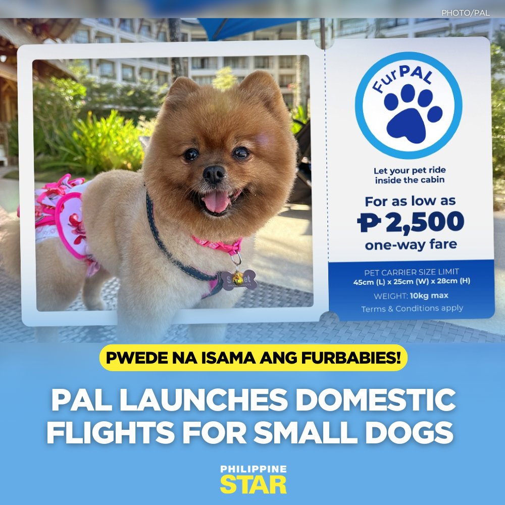 GOOD NEWS, FUR PARENTS! 🐾

In a statement, flag carrier Philippine Airlines (PAL) has announced the nationwide launch of its FurPAL program—now available on every domestic flight.

This groundbreaking in-flight service was launched in November 2025, allowing fur parents to
