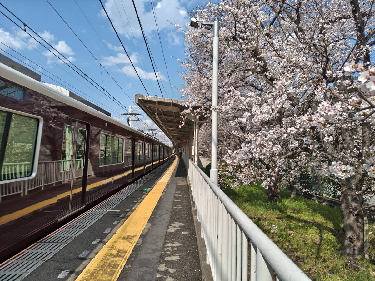 hankyu_ex's tweet photo. 今日は二十四節気の「雨水」。雪がとけて雨となり、春の訪れを感じる頃だそうです。

春と言えば……かなり気が早いのですが、今年も🌸阪急電車×桜🌸を見に行きたいなと思っています。
昨年は京都本線＆嵐山線方面に行ったのですが、今年はどこに行こう……

皆様のおすすめはどこですか？
（阪急電鉄公式X 中の人）
