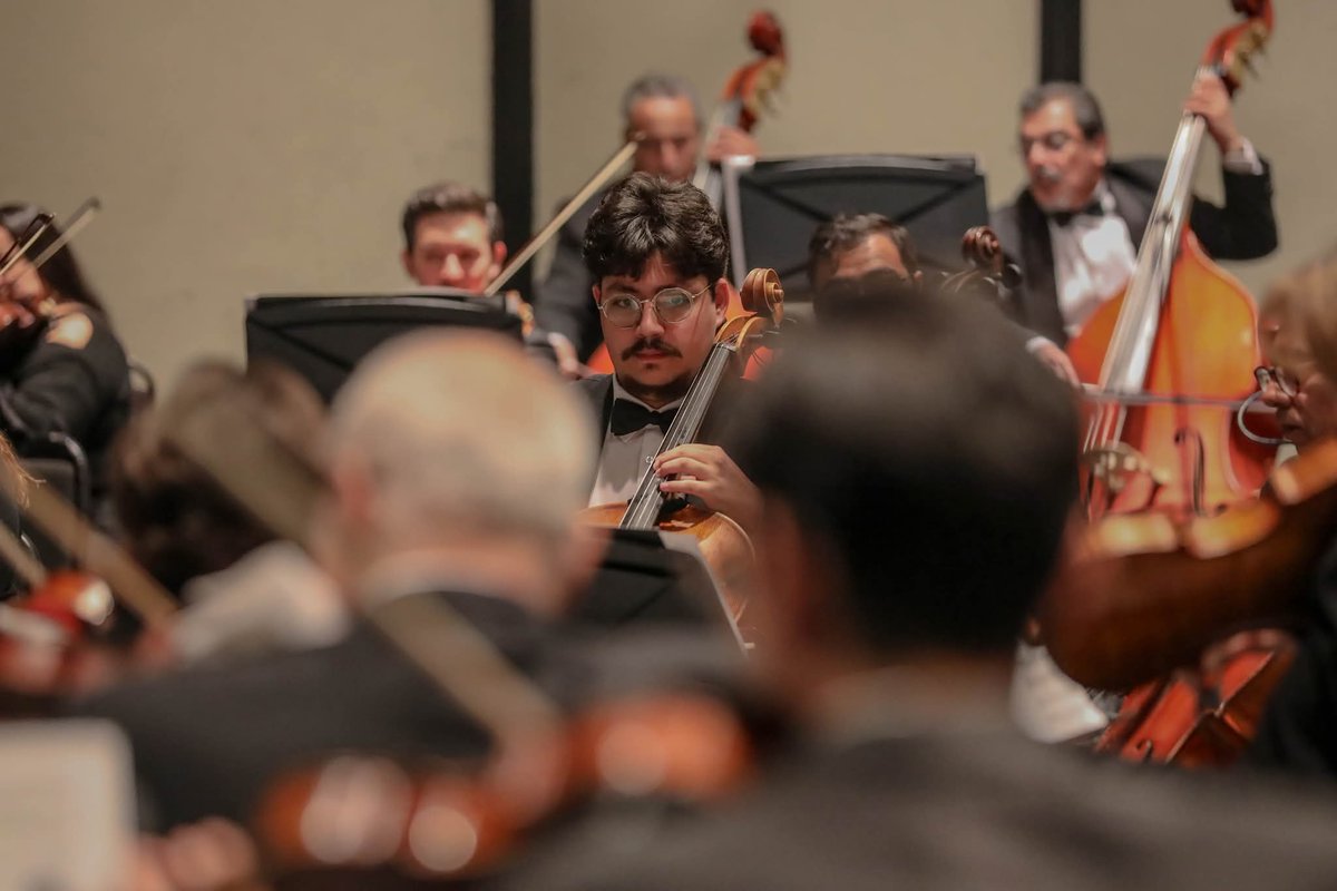 El_Clarinete's tweet photo. Disfruta de una noche magistral con Joseph Haydn #Música https://t.co/wlBMFBU97w https://t.co/BkFwlcEWAo