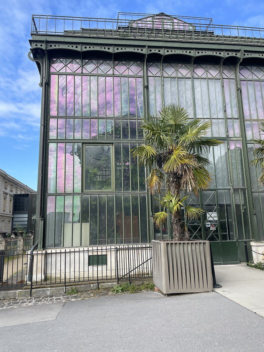 오차원ochawon tweet media