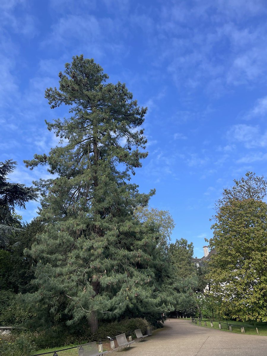 오차원ochawon tweet media