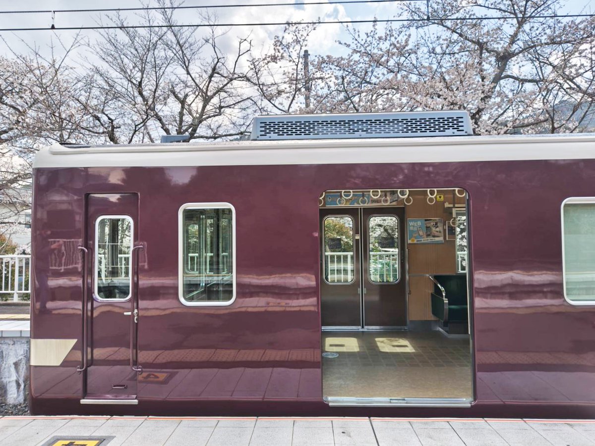 hankyu_ex's tweet photo. 今日は二十四節気の「雨水」。雪がとけて雨となり、春の訪れを感じる頃だそうです。

春と言えば……かなり気が早いのですが、今年も🌸阪急電車×桜🌸を見に行きたいなと思っています。
昨年は京都本線＆嵐山線方面に行ったのですが、今年はどこに行こう……

皆様のおすすめはどこですか？
（阪急電鉄公式X 中の人）