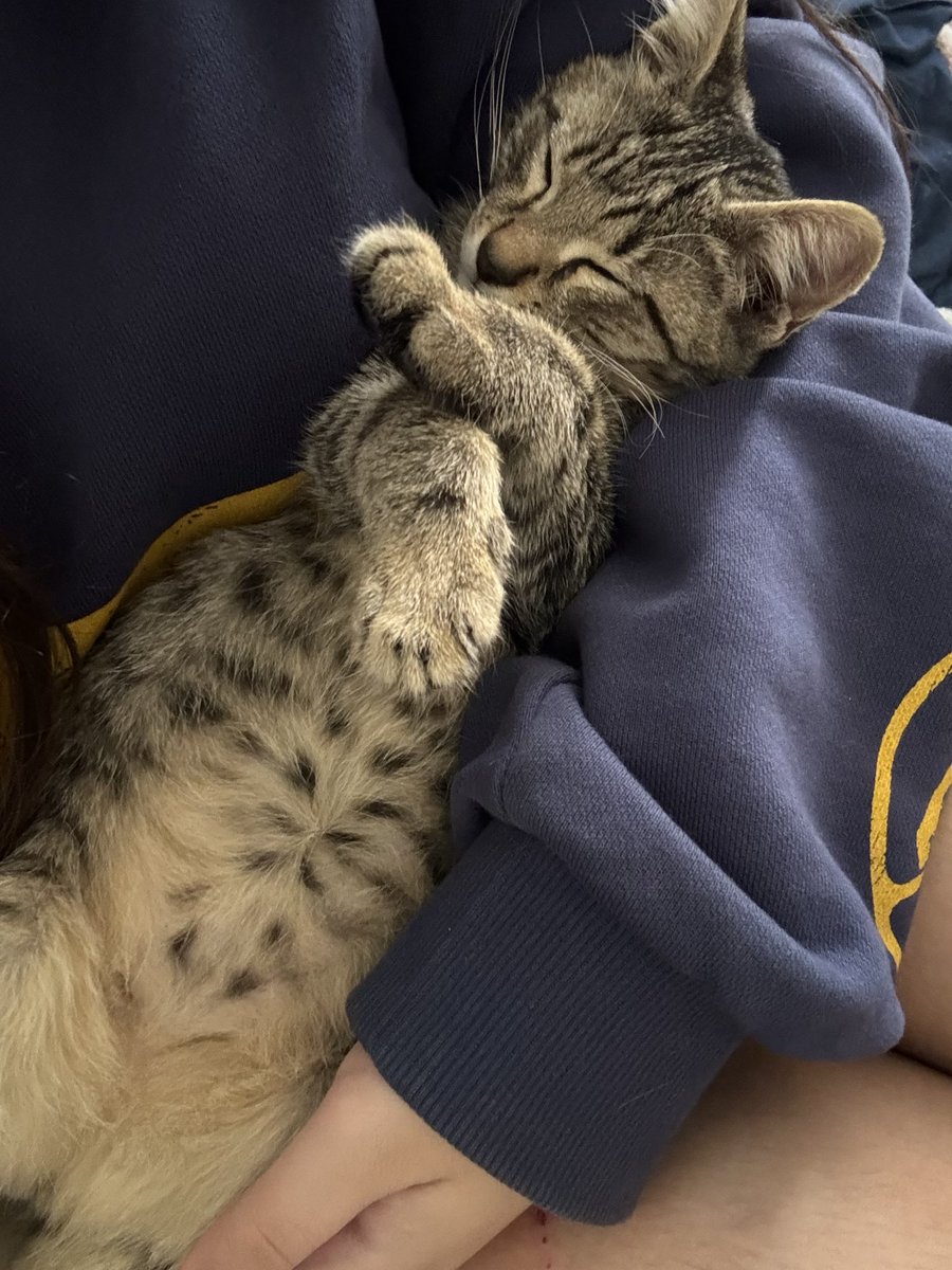 choey alt tweet media