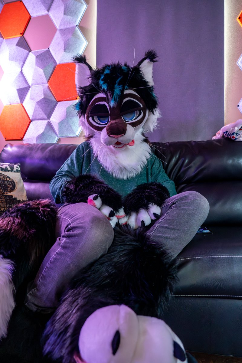 Tsespato 🔜 😸 tweet media