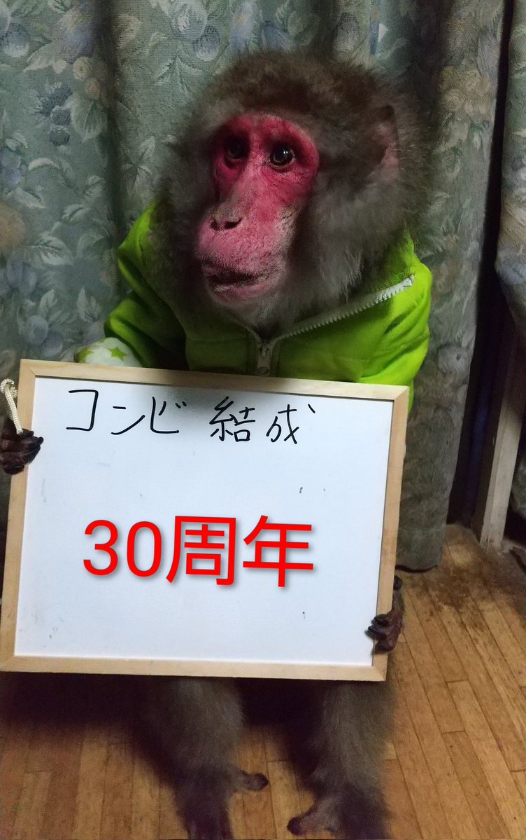 お猿の十兵衛 (@osarunojube0419) / Posts / X