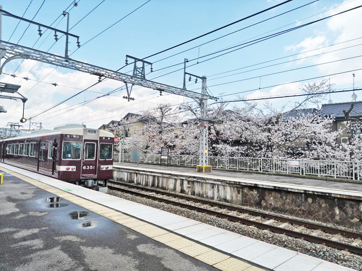 hankyu_ex's tweet photo. 今日は二十四節気の「雨水」。雪がとけて雨となり、春の訪れを感じる頃だそうです。

春と言えば……かなり気が早いのですが、今年も🌸阪急電車×桜🌸を見に行きたいなと思っています。
昨年は京都本線＆嵐山線方面に行ったのですが、今年はどこに行こう……

皆様のおすすめはどこですか？
（阪急電鉄公式X 中の人）