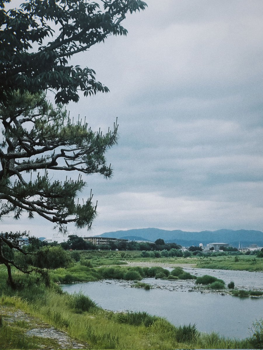 SherlyWhy tweet media