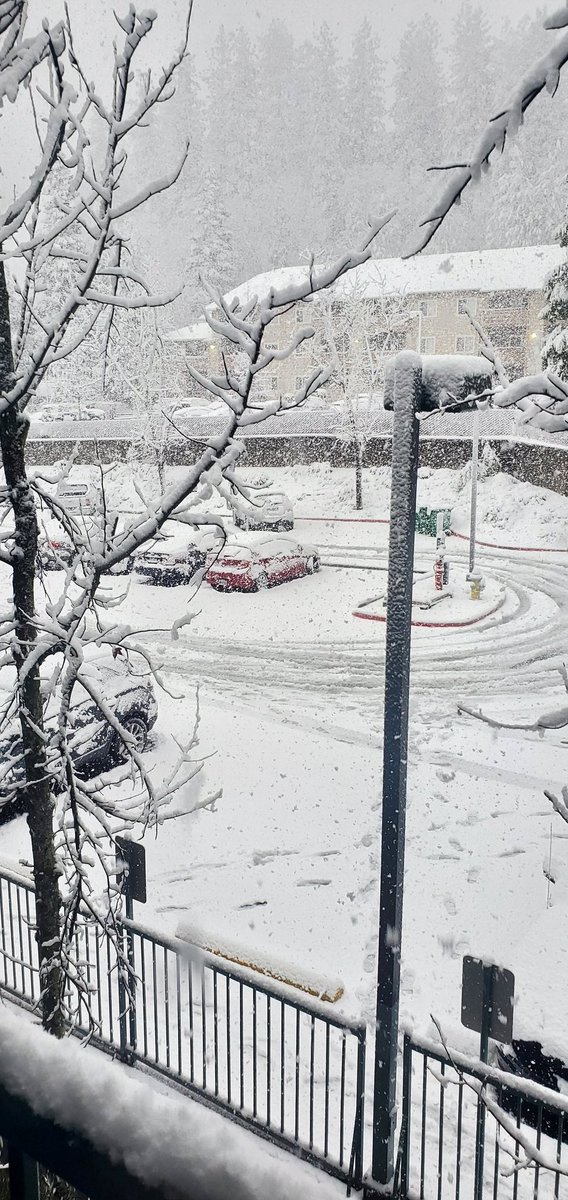 Meri St. Mary tweet media