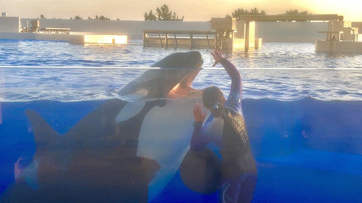 あと6日で20歳のお誕生日👏
ほんとお願い！晴れになって…