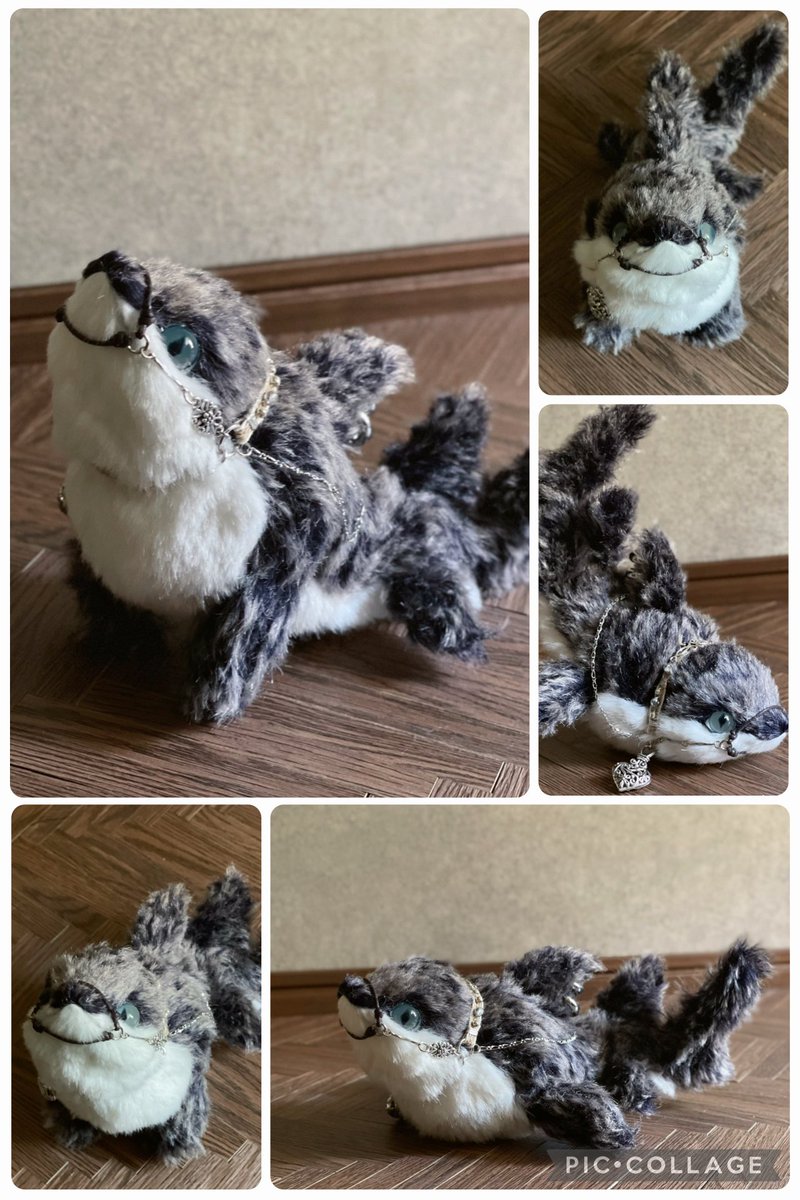 まめこ (@Mamekonokomame) / Posts / X