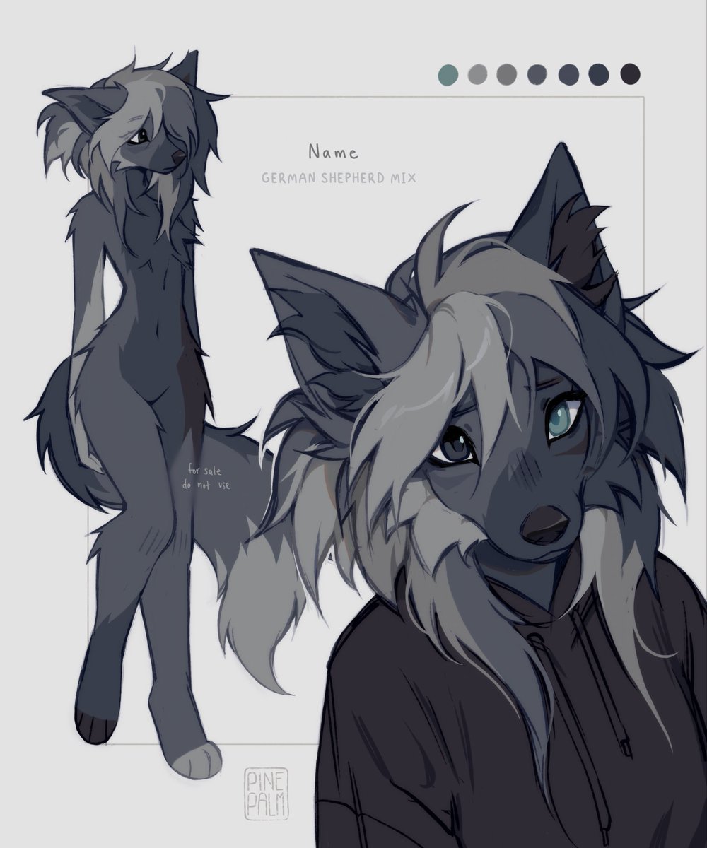 german shepherd adopt 🐾