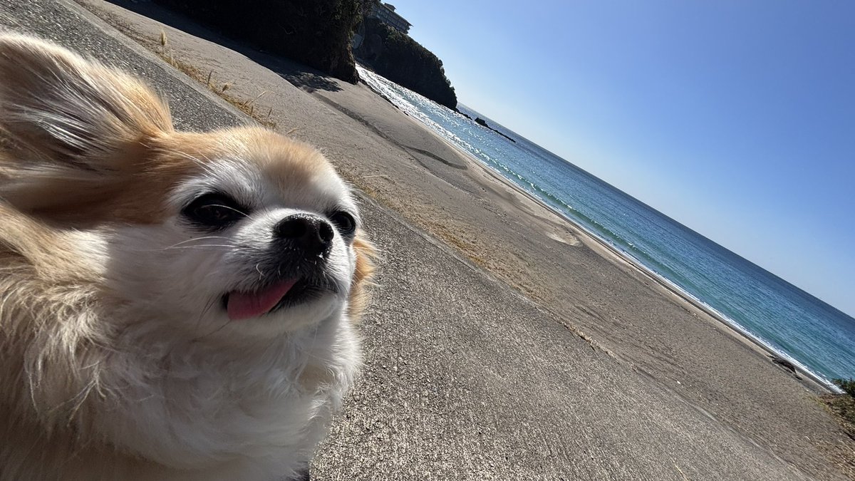 チビちゃんいい天気だね💕︎