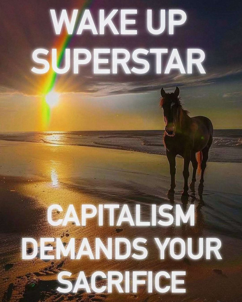 ShitpostGate's tweet image. 