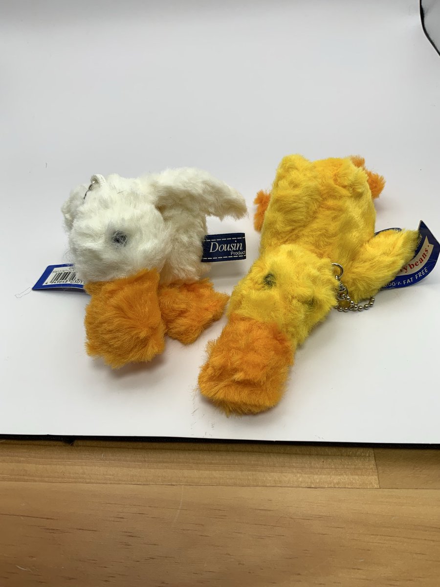 ぬいぐるみの童心【公式】🥺 (@Dousin_kawaii) / Posts / X