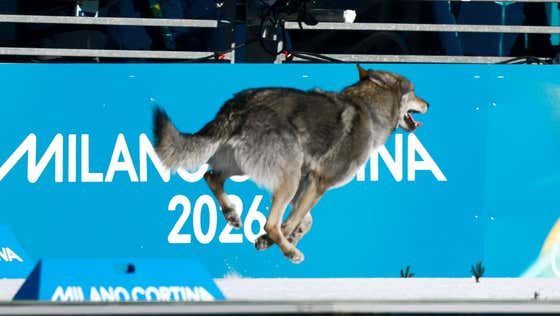 DOG ON THE COURSE!!! – Dog Named Nazgul Escaped Home To Join The Race (And Cross The Finish Line) at Women's Olympic Cross-Country Event https://t.co/mcHEXAA936