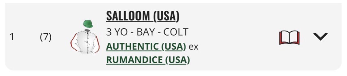 يُونس بنّ علي آل نمر🐎. tweet media