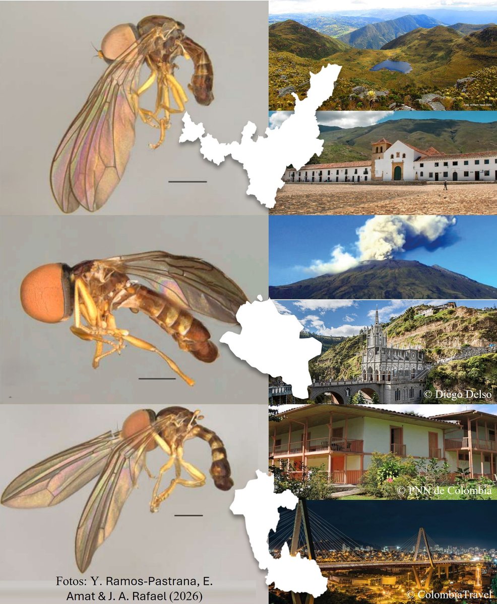 Novatax_Col tweet media