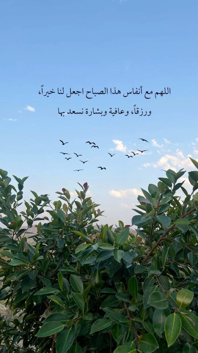 🌸🌸صباح الخيرات