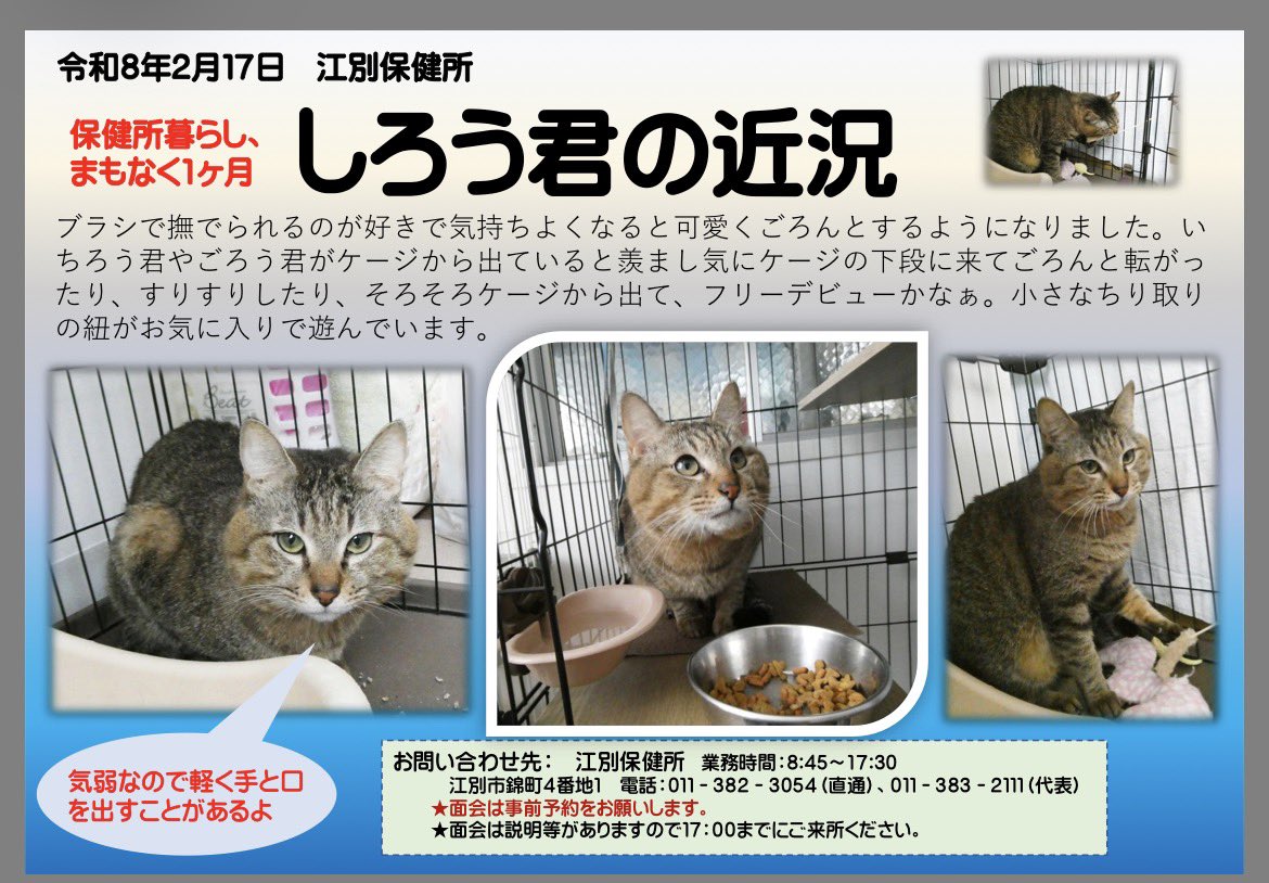 BENICO (@QZsvSPSxzEn1NZd) / Posts / X