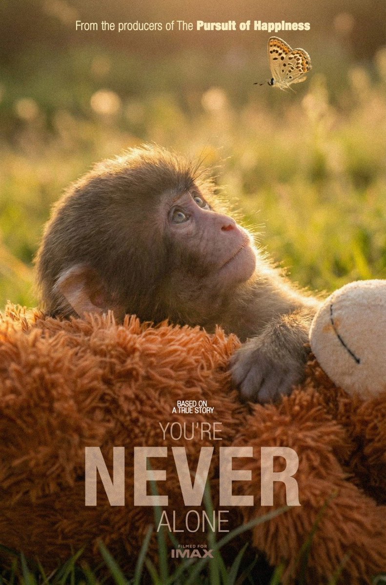 BossLogic tweet media