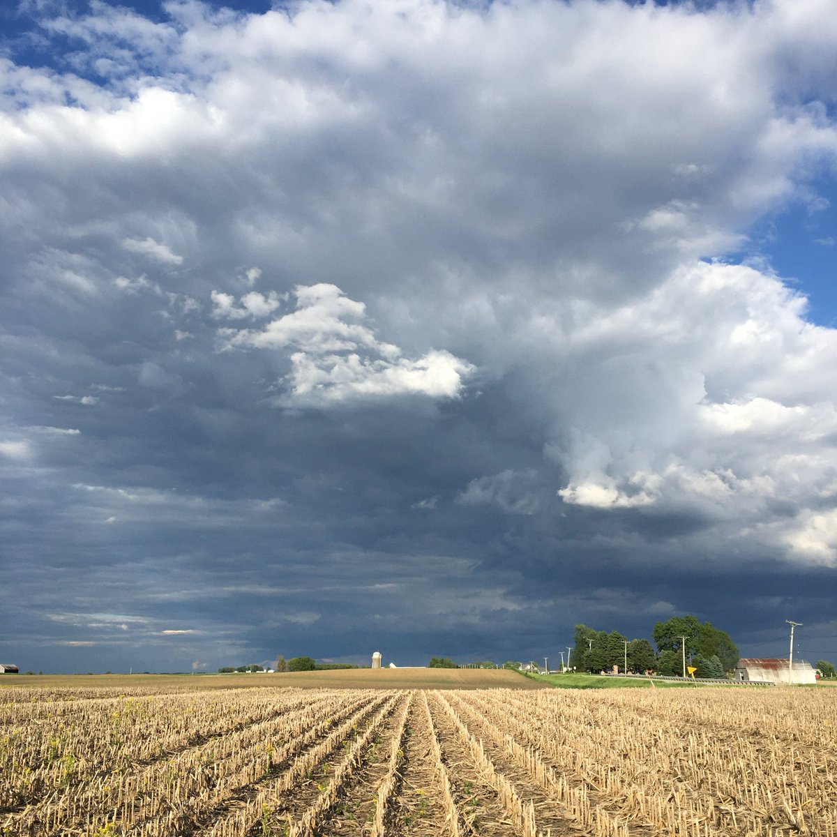 Mark Heisner tweet media