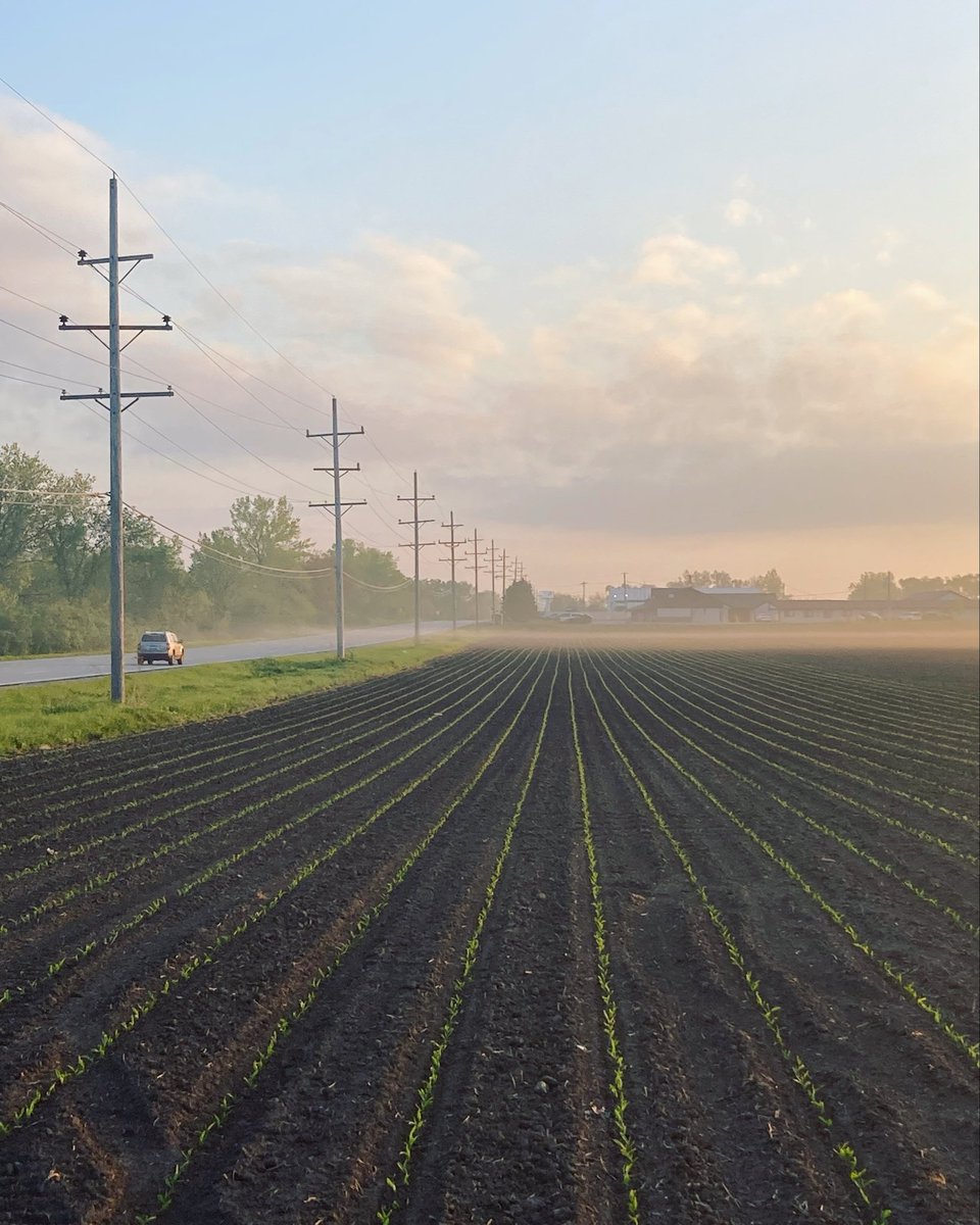 Mark Heisner tweet media