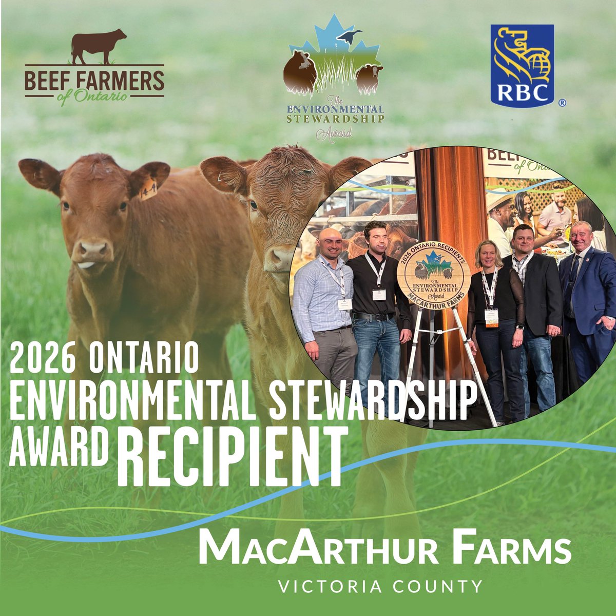 Beef Farmers of Ontario tweet media