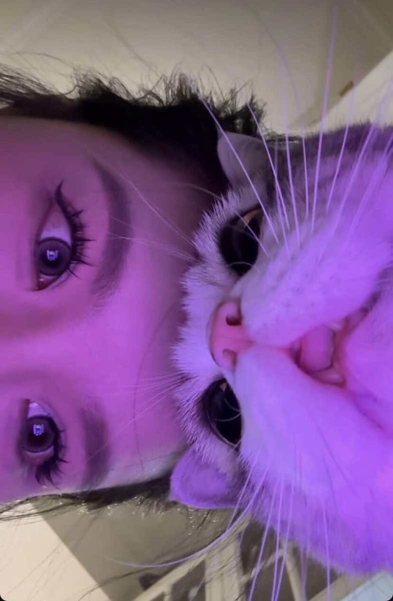 DarkSyntax tweet media