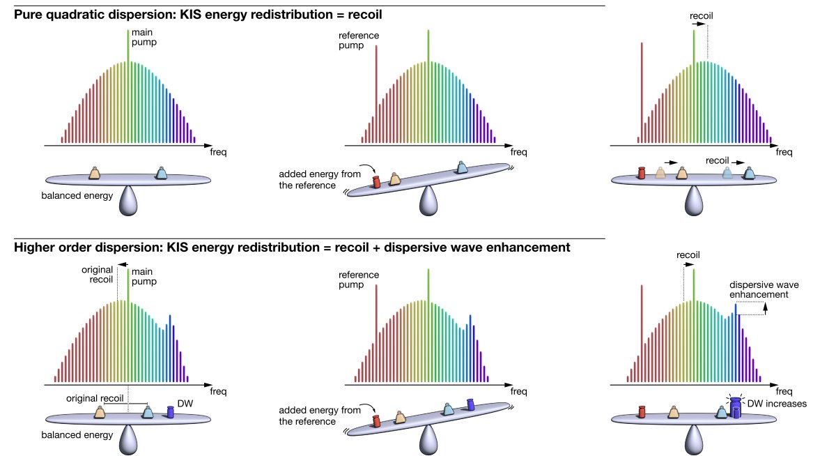 Comb Lab tweet media
