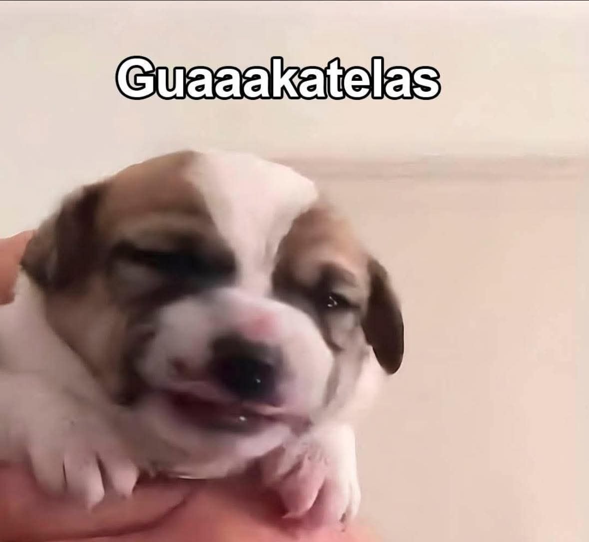 El capitulo 5 de Poppy Playtime ammm si no fuera por el lore podría no existir