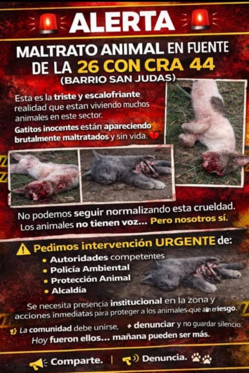 ‼️‼️‼️‼️‼️‼️‼️ SOS
<a href="/PlataformaALTO/">Plataforma ALTO</a> <a href="/EsmeHernandezSi/">Esmeralda Hernández</a> <a href="/MONYRODRIGUEZOF/">MÓNICA RODRÍGUEZ 🐤</a> <a href="/andreanimalidad/">Andrea Padilla |Senado Alianza Verde🌻#️⃣1️⃣4️⃣</a> <a href="/laurarubiogu/">Laura Rubio</a>