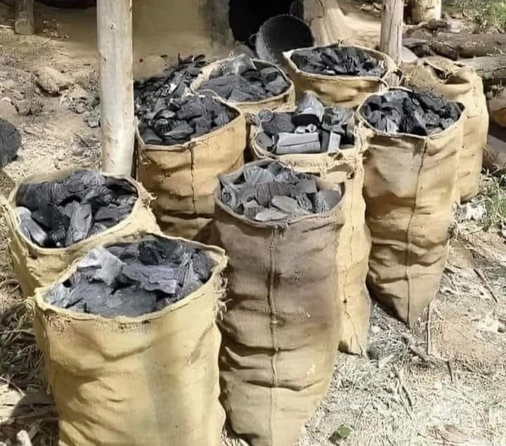 ที่บ้านทำธุรกิจมืดค่ะ เผาถ่าน