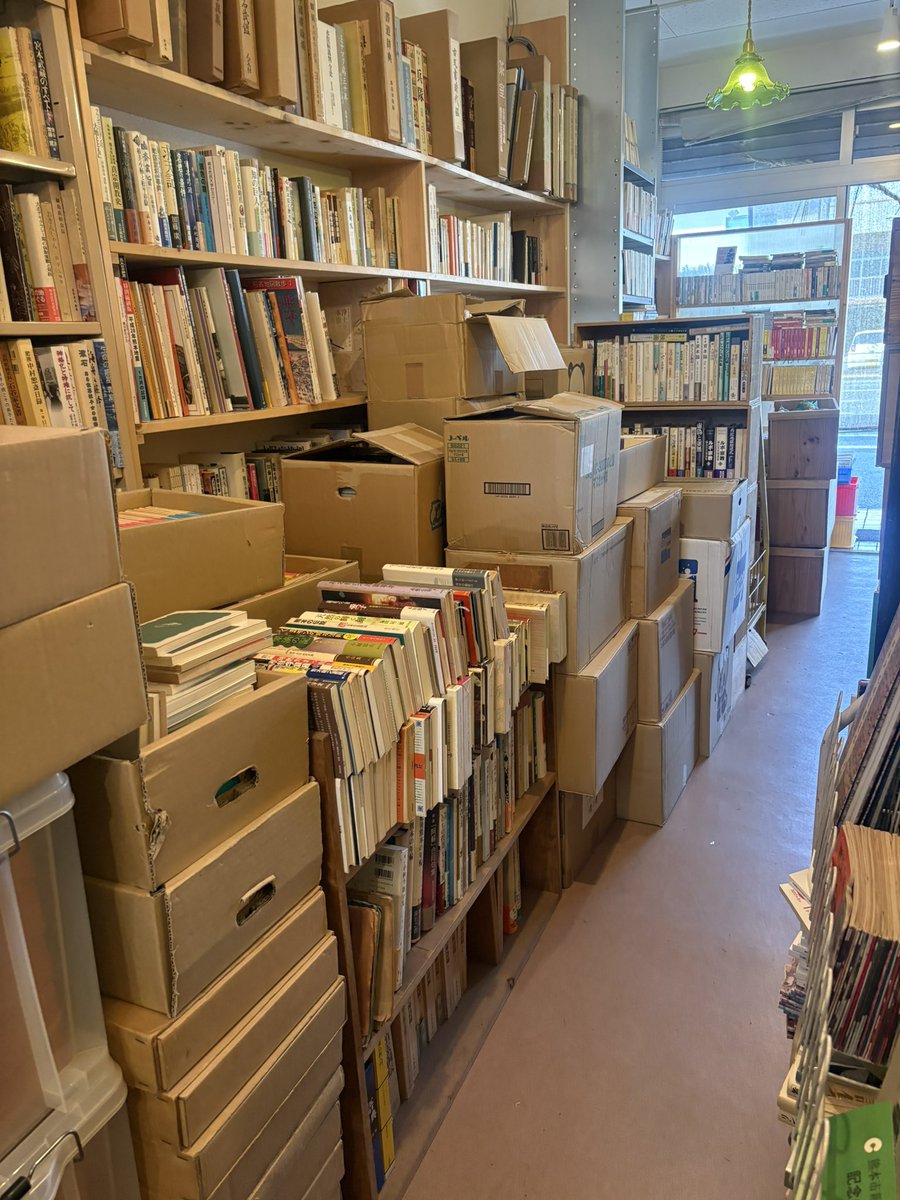 木曜あけました◯ 
玉蘭さんの店の横に咲いた梅がきれいです。
21,22開催のおしろ蚤の市の準備やお店の片付けをせっせとやってます。
兎に角、手を動かさねば。
今日もよろしくお願いします