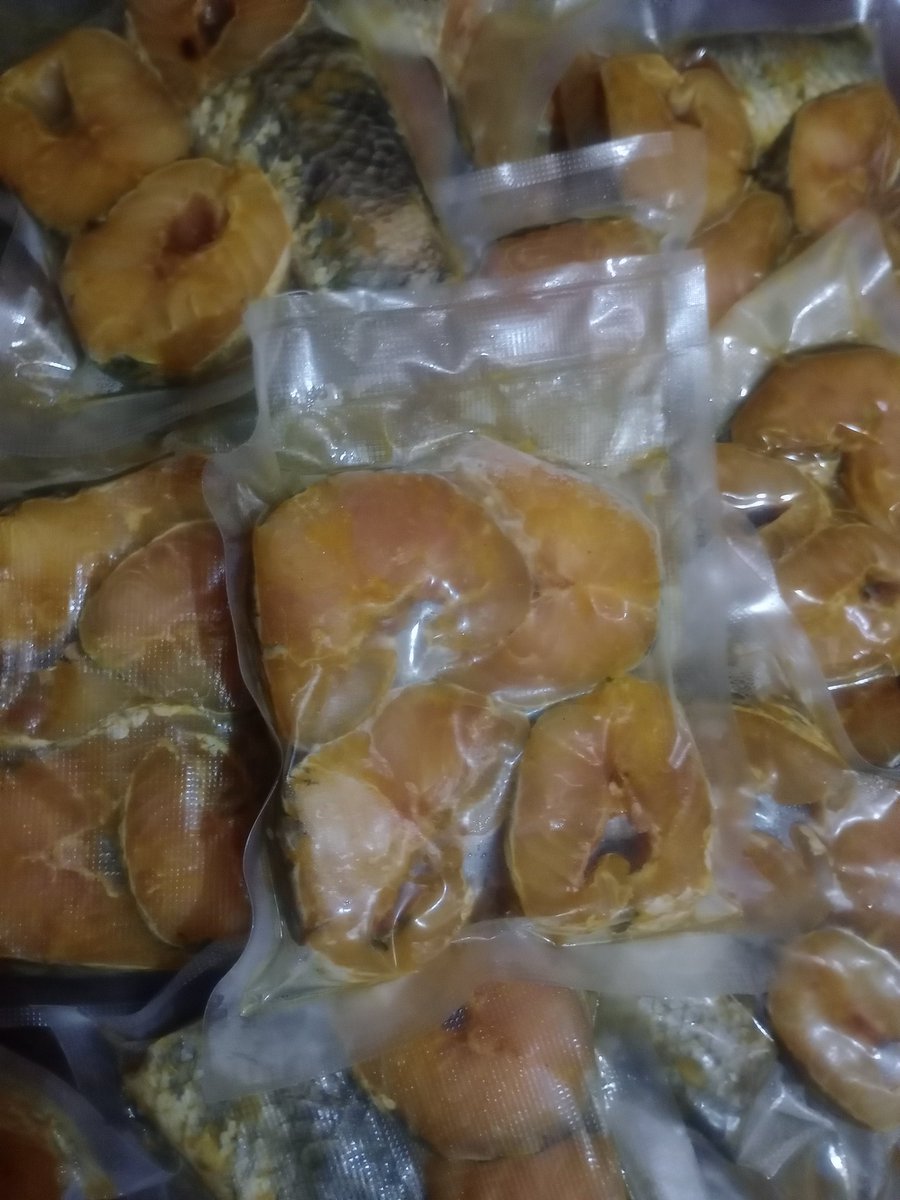 MbahKidjoFarm's tweet photo. Ikan gabus marinasi siap dimasak, kondisi frozen sesuai permintaan..

#IkanGabus
#Sleman https://t.co/3qisYDrSfy