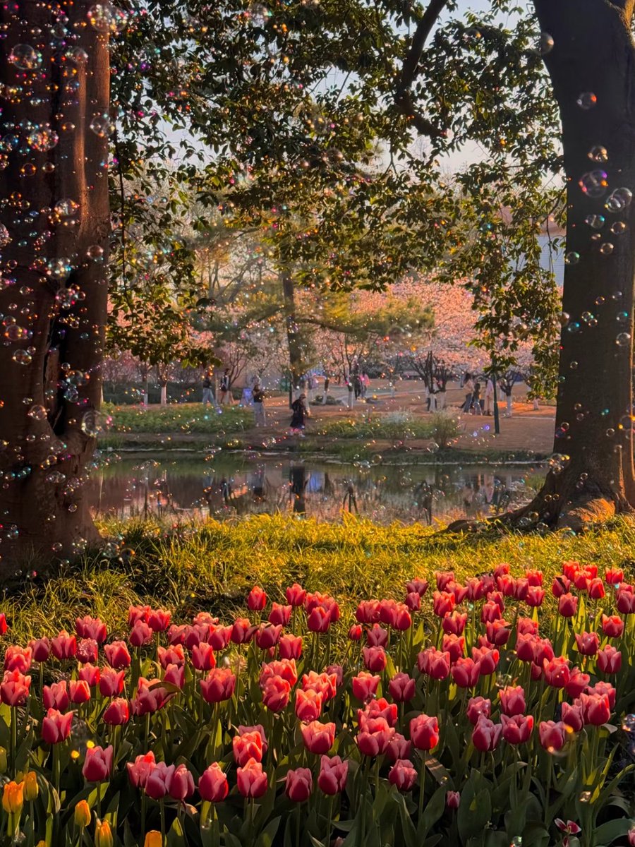 Harper Zhou（互fo互赞） tweet media