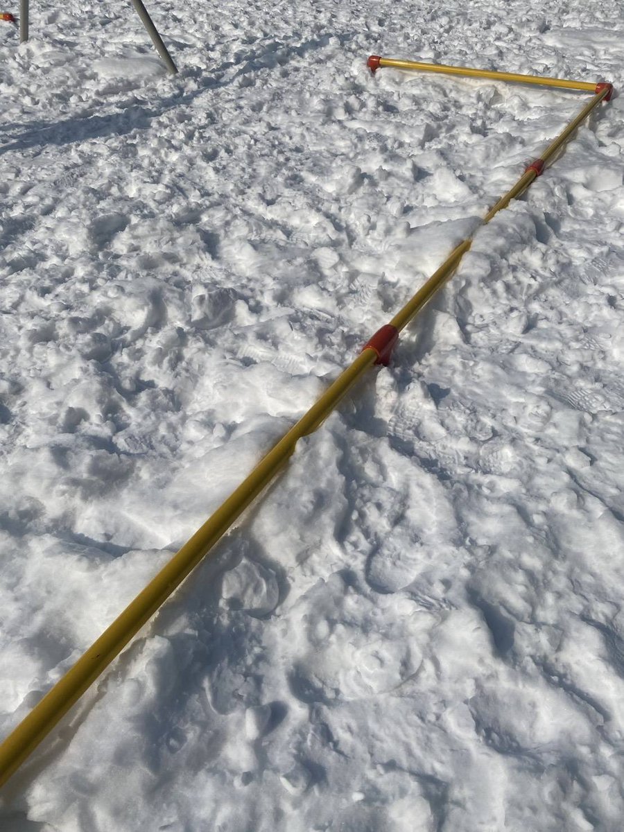 北海道ゴハット tweet media