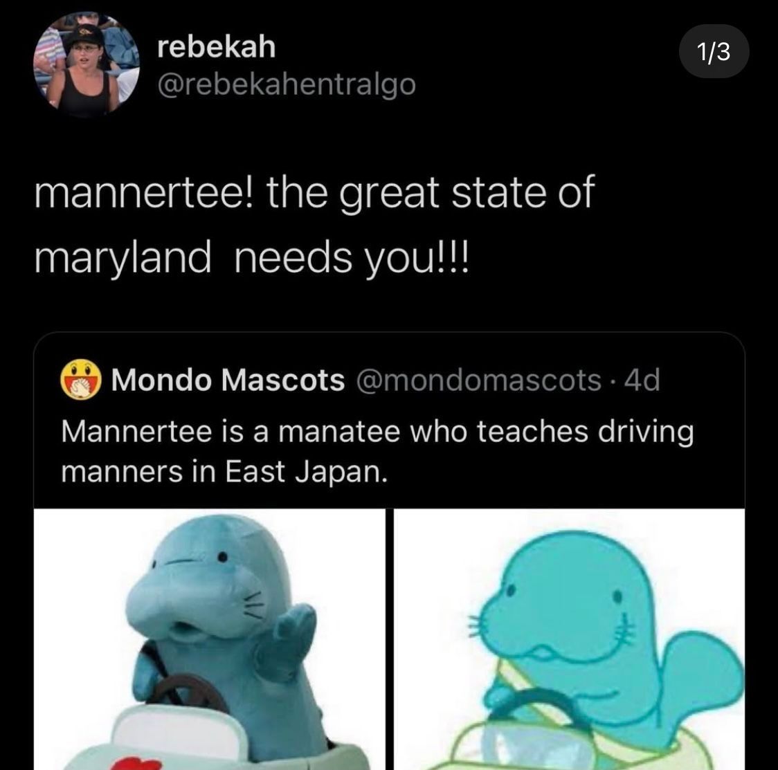 dinosaurs1969's tweet image. 