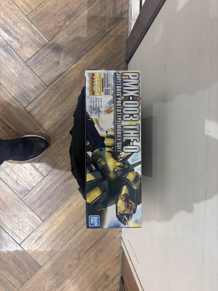 頼まれ物のガンプラ購入 デカすぎるんよ