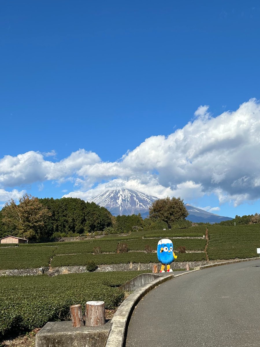 静岡県【公式】 (@wakamono_gakari) / Posts / X