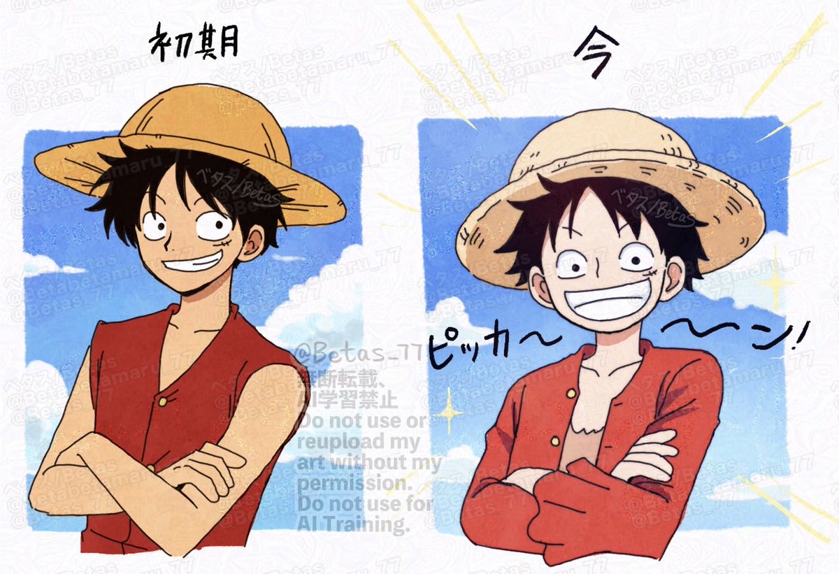 初期ルフィのほうが好きだなぁ 今よりも大人びてる感じが
