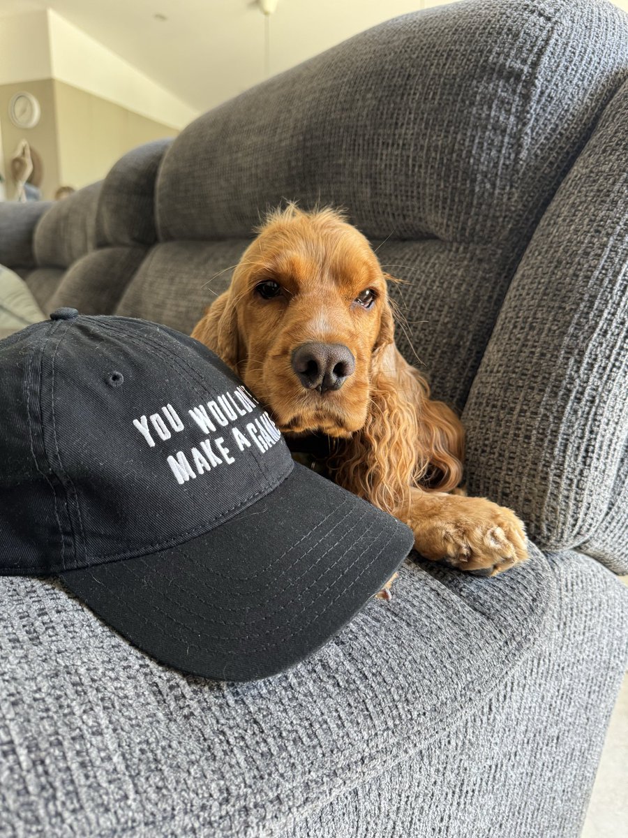 Waypoint tweet media