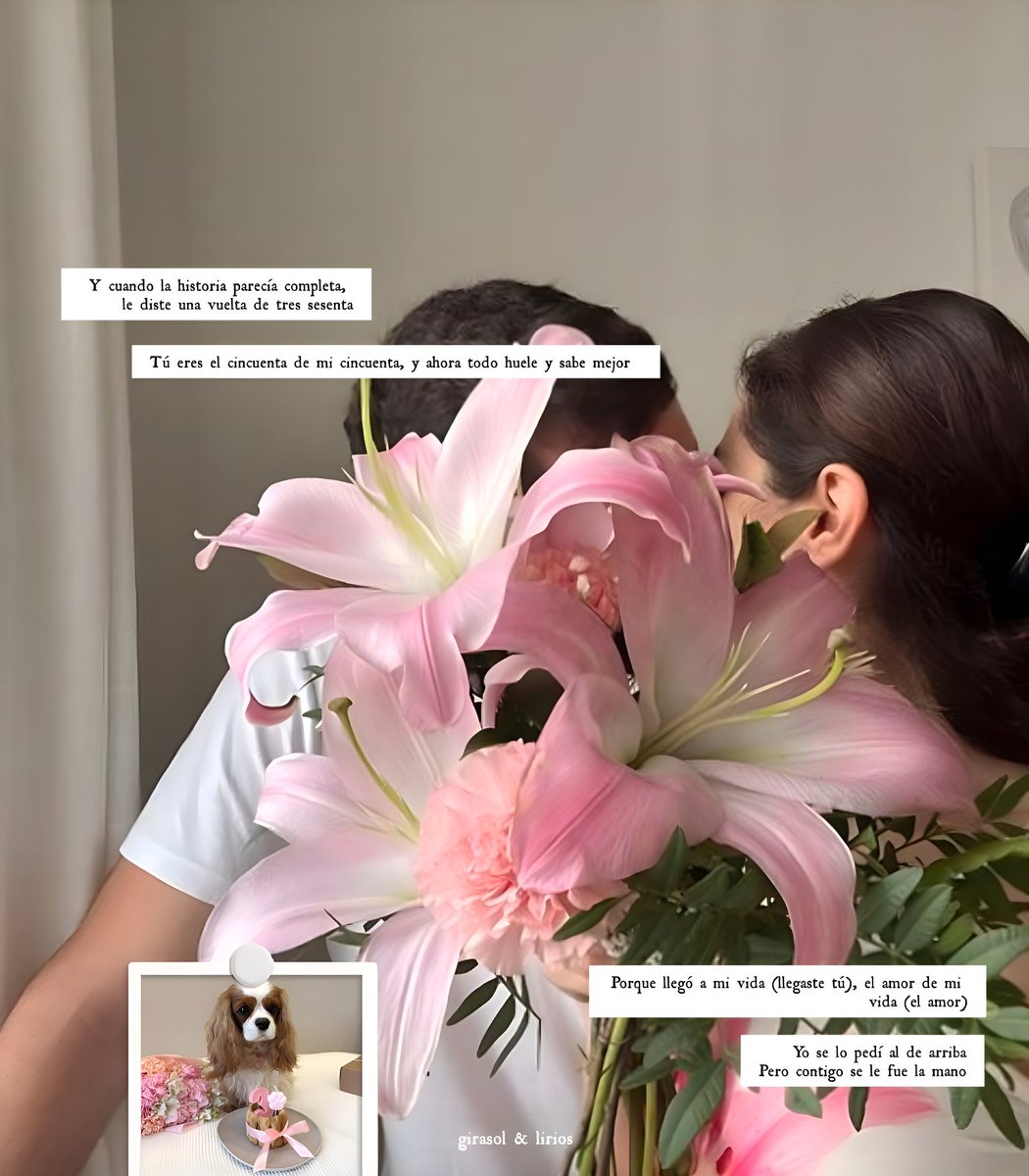 Bella , ✿ tweet media