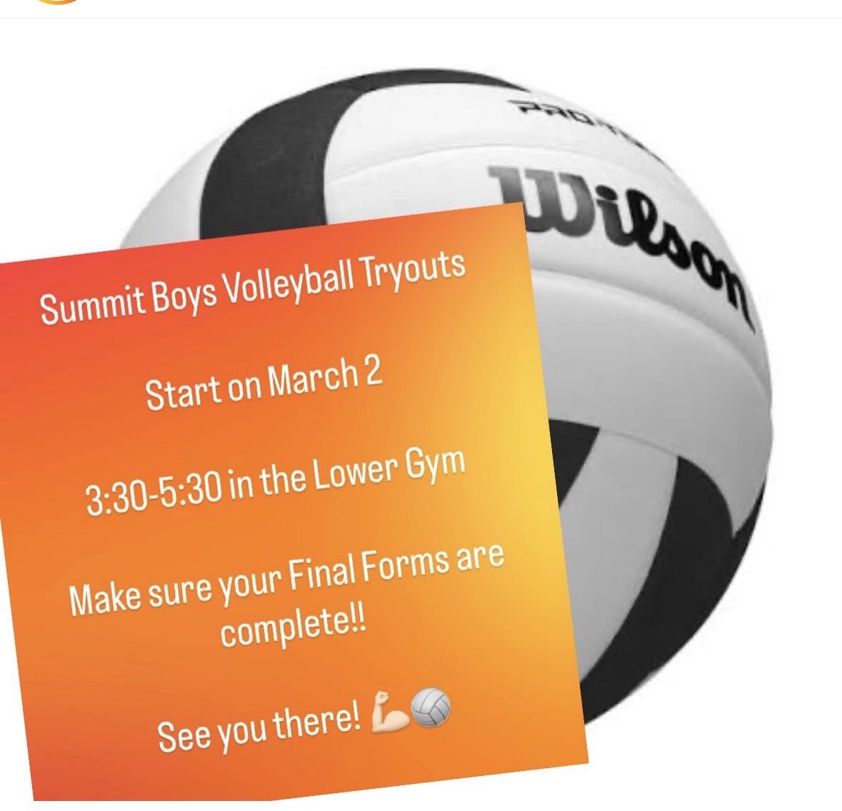 Rockwood Summit Volleyball tweet media