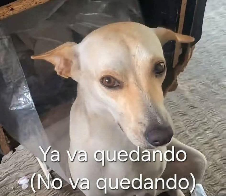 Tengo q rendir el final q patee en diciembre y no entiendo nada