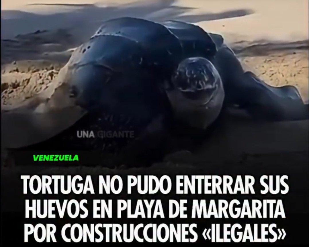 MaquinaDelAire's tweet photo. Que les parece #denuncia #queabuso #lodijimos #hastacuando #morel https://t.co/otVxuSNESO