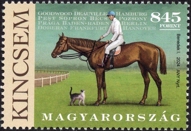 ハルカの競馬ちゃんねる🏇 (@harukanokeibach) on Twitter photo 